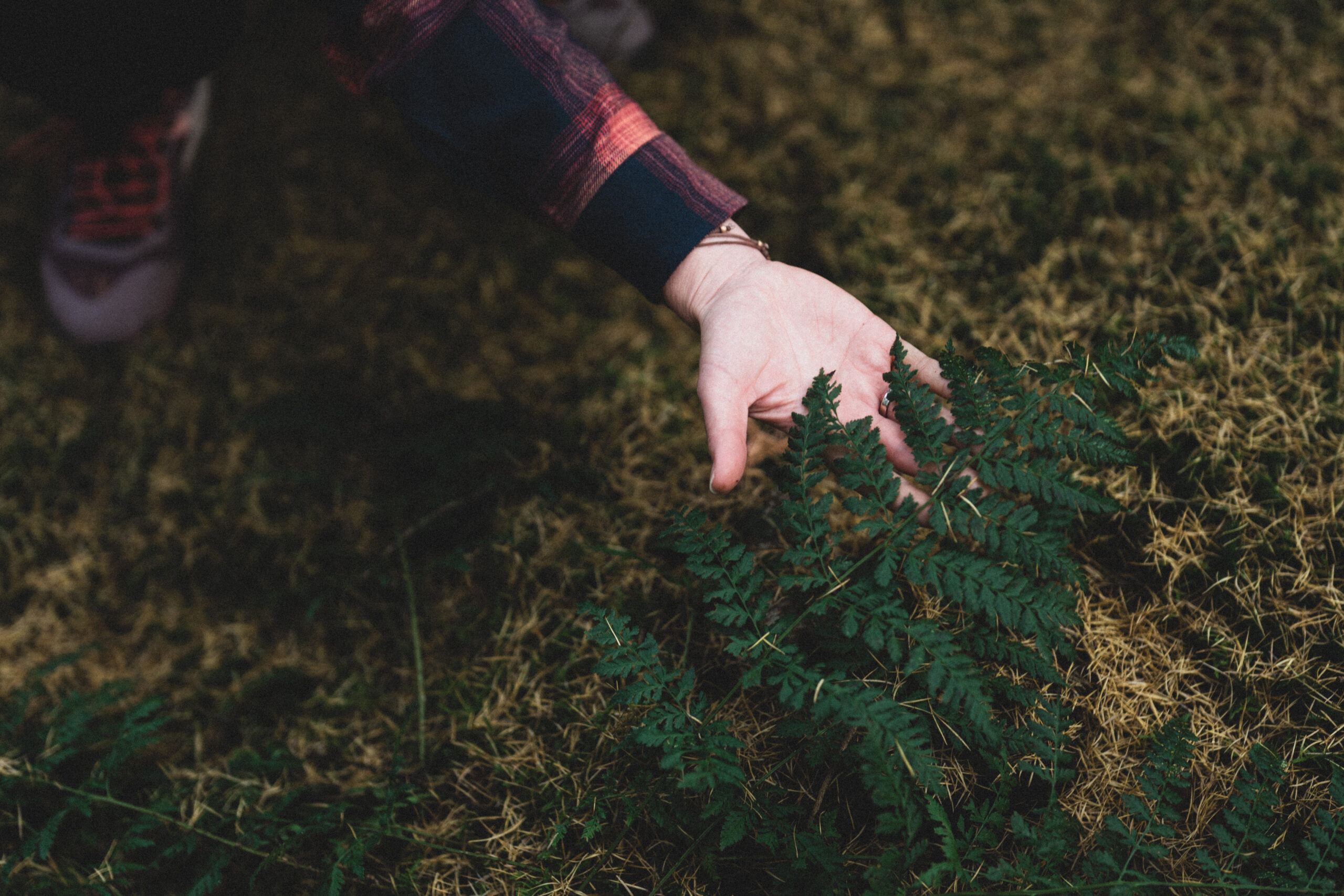 Kennismakingsmiddag Verdiepingsjaar Natuurverbinding 2026